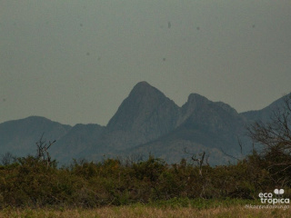 Pantanal Ago21-013